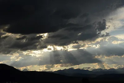 DSC_3296 (Large).JPG